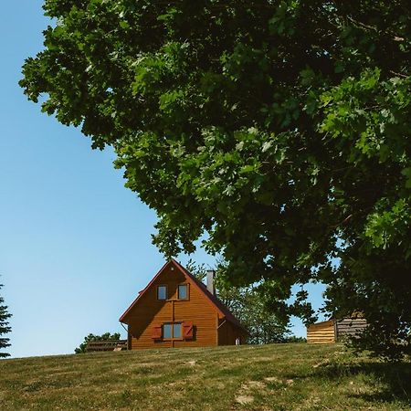 Widokowka Kaszuby Villa Mirachowo Eksteriør bilde